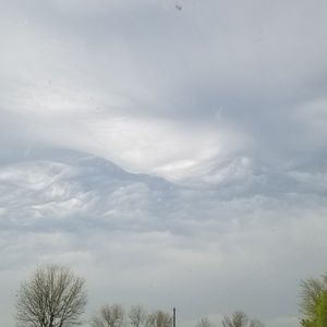 Meet your Posher, Logan